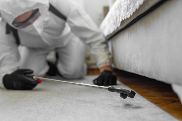 Professional Pest Control technician working in Oregon, OR