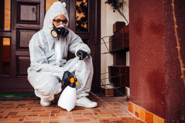 Reliable Pest Control contractor in Oregon, OR by Show Me Pest Control